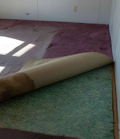 Rug Cleaning Process