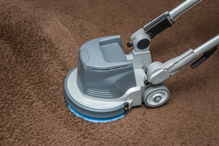 Complete Guide Carpet Cleaning Services for Homes